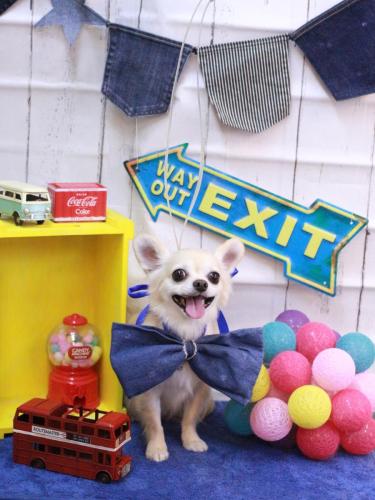 20230413ミルクちゃん